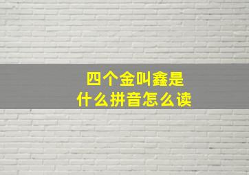 四个金叫鑫是什么拼音怎么读