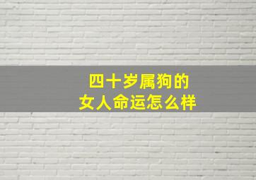 四十岁属狗的女人命运怎么样