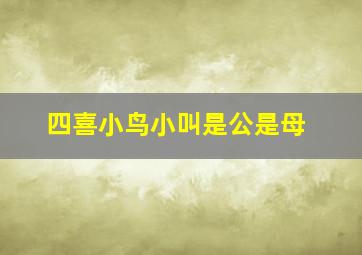 四喜小鸟小叫是公是母