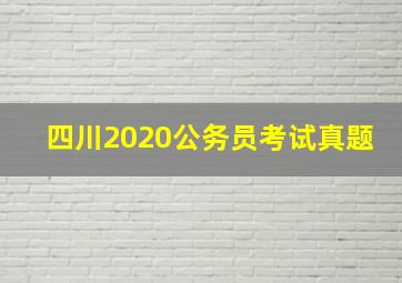 四川2020公务员考试真题