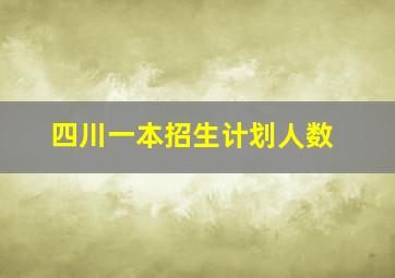 四川一本招生计划人数