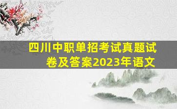 四川中职单招考试真题试卷及答案2023年语文