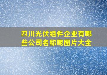 四川光伏组件企业有哪些公司名称呢图片大全