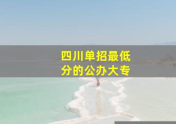 四川单招最低分的公办大专