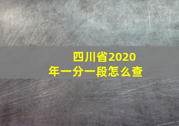 四川省2020年一分一段怎么查