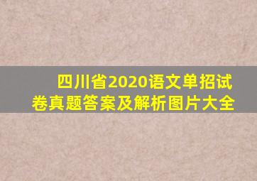 四川省2020语文单招试卷真题答案及解析图片大全