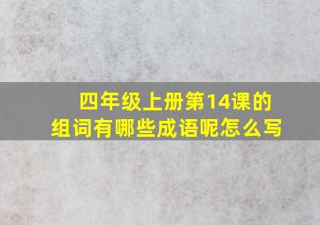 四年级上册第14课的组词有哪些成语呢怎么写