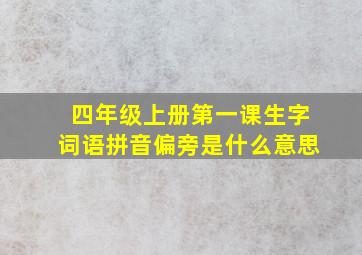 四年级上册第一课生字词语拼音偏旁是什么意思