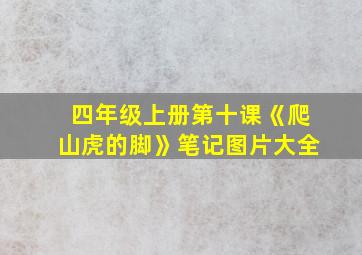 四年级上册第十课《爬山虎的脚》笔记图片大全