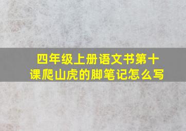 四年级上册语文书第十课爬山虎的脚笔记怎么写