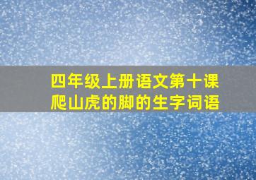 四年级上册语文第十课爬山虎的脚的生字词语