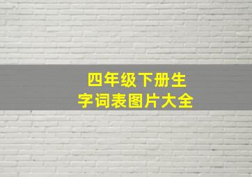 四年级下册生字词表图片大全