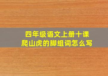 四年级语文上册十课爬山虎的脚组词怎么写