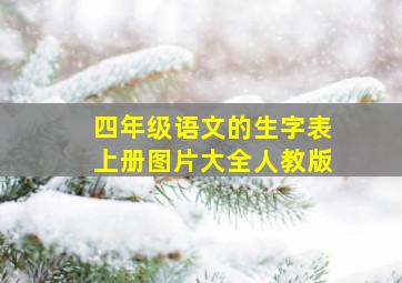 四年级语文的生字表上册图片大全人教版