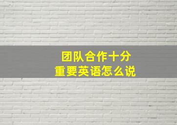 团队合作十分重要英语怎么说