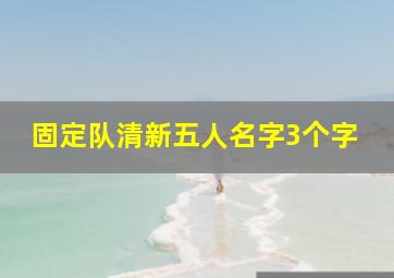 固定队清新五人名字3个字