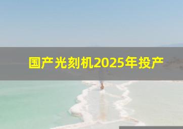 国产光刻机2025年投产