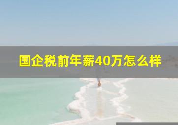 国企税前年薪40万怎么样