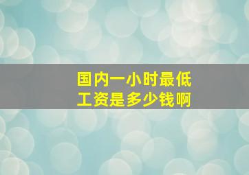 国内一小时最低工资是多少钱啊