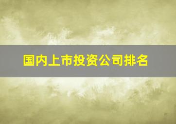 国内上市投资公司排名