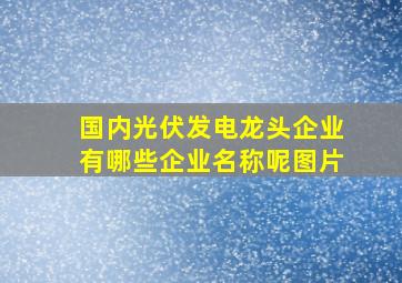 国内光伏发电龙头企业有哪些企业名称呢图片