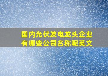 国内光伏发电龙头企业有哪些公司名称呢英文