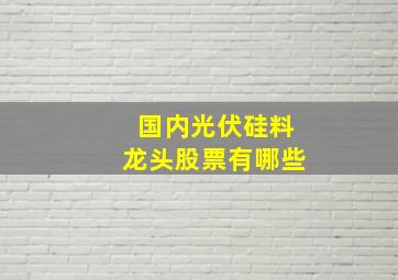 国内光伏硅料龙头股票有哪些