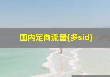 国内定向流量(多sid)