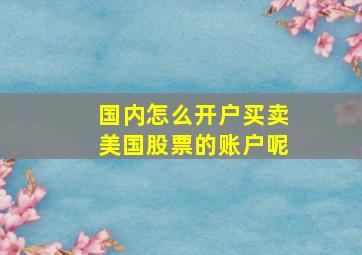 国内怎么开户买卖美国股票的账户呢