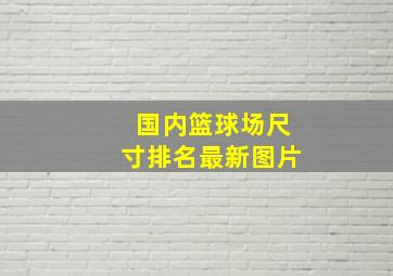 国内篮球场尺寸排名最新图片