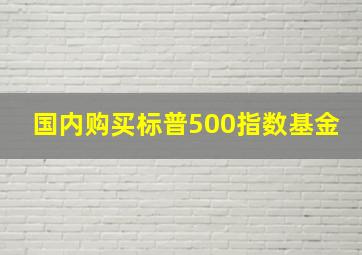 国内购买标普500指数基金