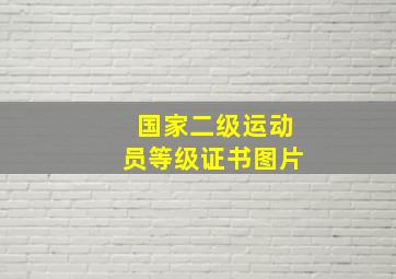 国家二级运动员等级证书图片