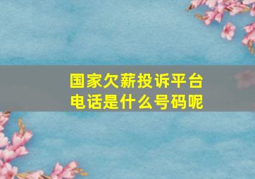 国家欠薪投诉平台电话是什么号码呢