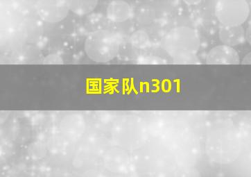 国家队n301