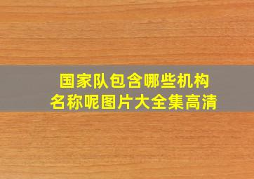 国家队包含哪些机构名称呢图片大全集高清