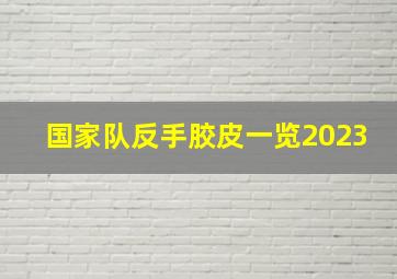 国家队反手胶皮一览2023