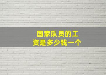 国家队员的工资是多少钱一个