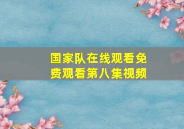 国家队在线观看免费观看第八集视频