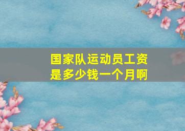 国家队运动员工资是多少钱一个月啊