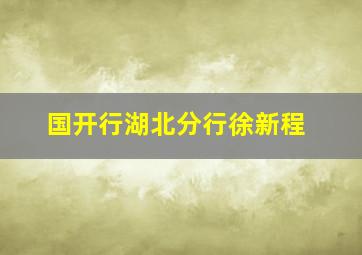 国开行湖北分行徐新程