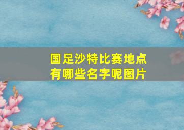 国足沙特比赛地点有哪些名字呢图片