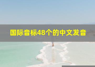 国际音标48个的中文发音