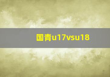 国青u17vsu18