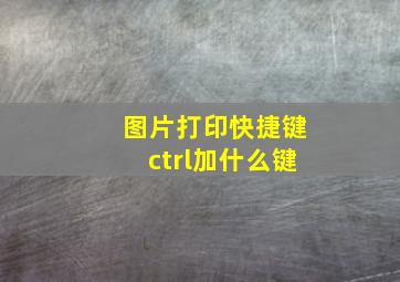 图片打印快捷键ctrl加什么键