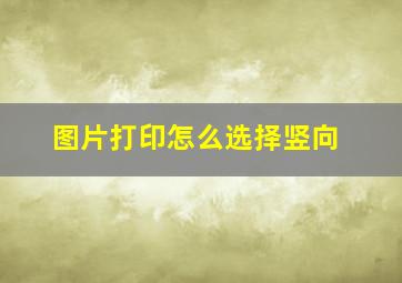 图片打印怎么选择竖向