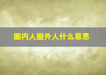 圈内人圈外人什么意思