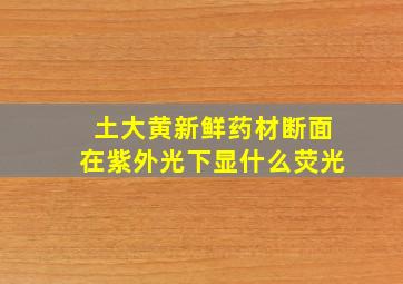 土大黄新鲜药材断面在紫外光下显什么荧光