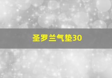 圣罗兰气垫30