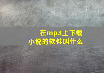 在mp3上下载小说的软件叫什么