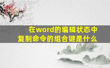 在word的编辑状态中复制命令的组合键是什么